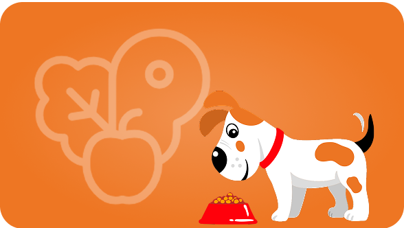 img Salud digestiva como